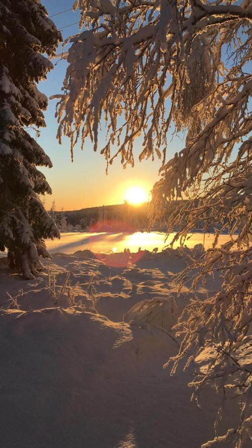 Loma-Laattaja Villa Hyrynsalmi Dış mekan fotoğraf